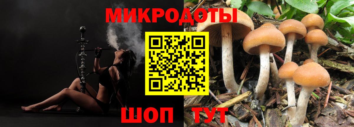 Псилоцибиновые грибы MAGIC MUSHROOMS  Вход с VPN  Асино 